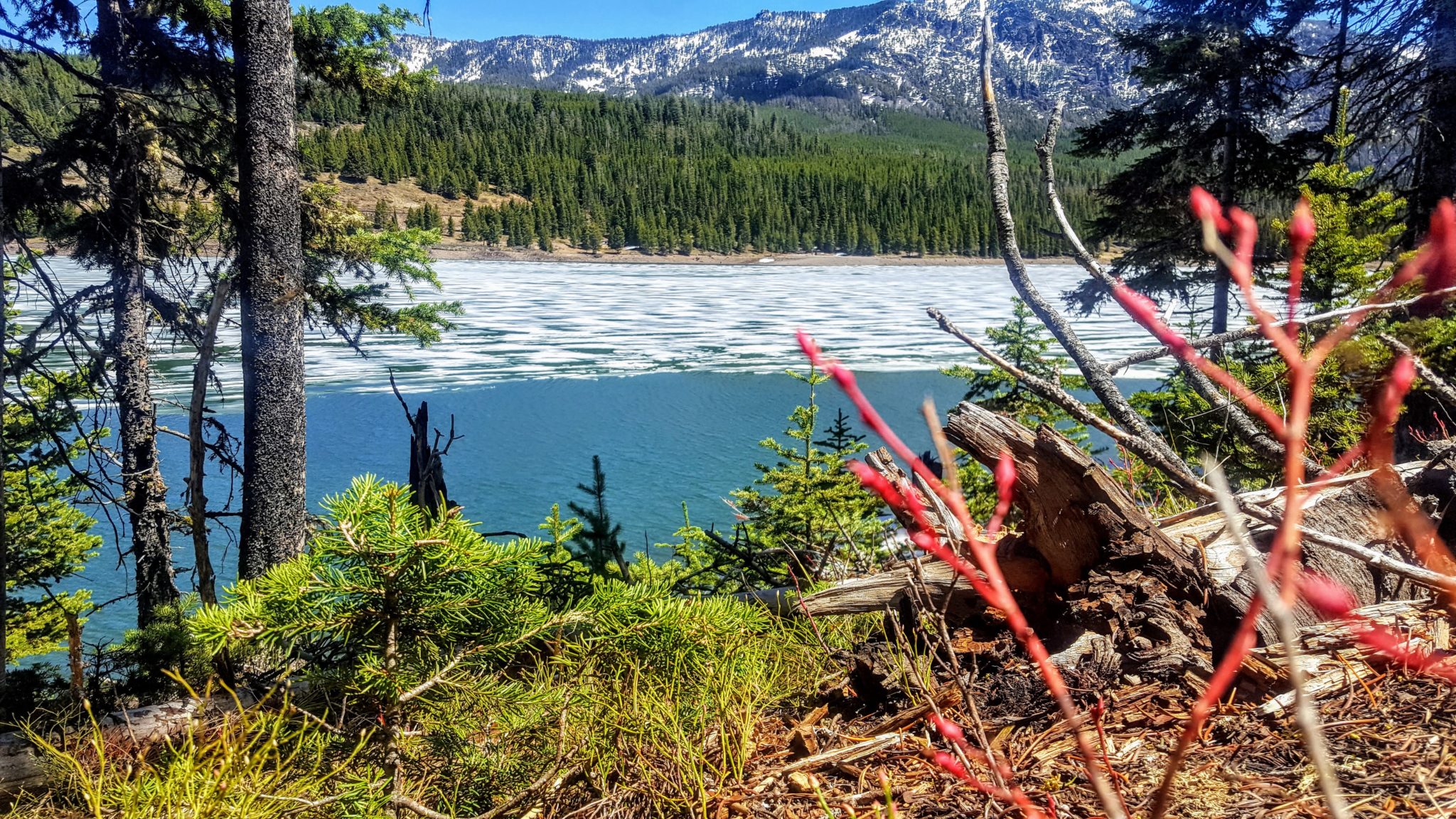 Bozeman, Montana