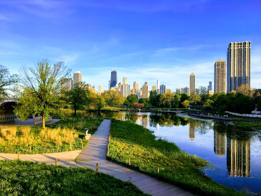 Nature Boardwalk at Lincoln Park
