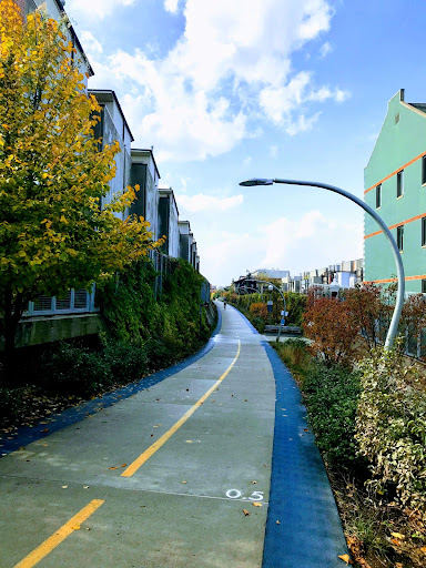 The 606 Trail