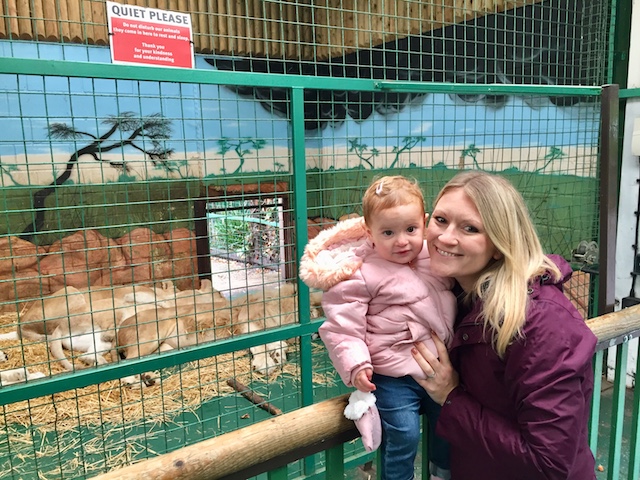 Paradise wildlife park