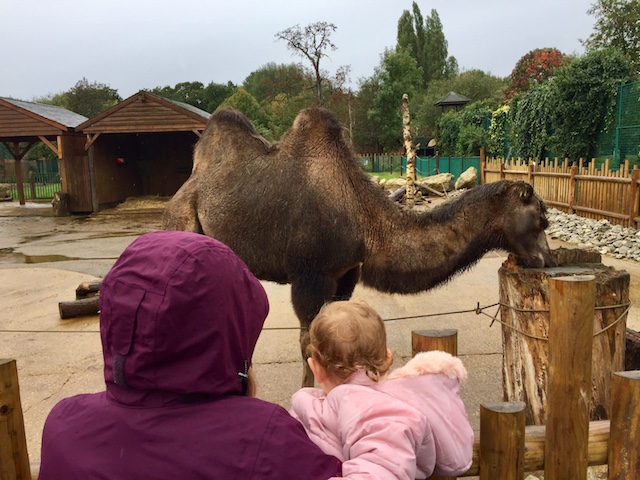 Paradise wildlife park