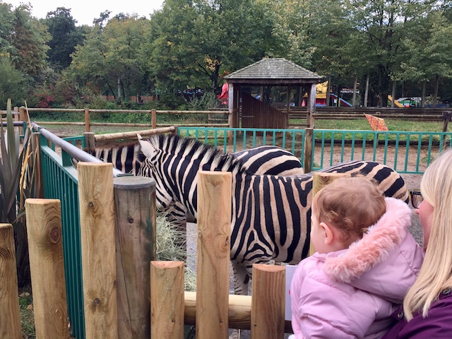 Paradise wildlife park