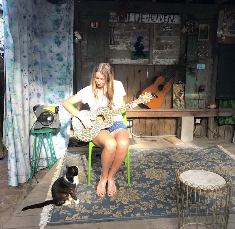 serenading a cat