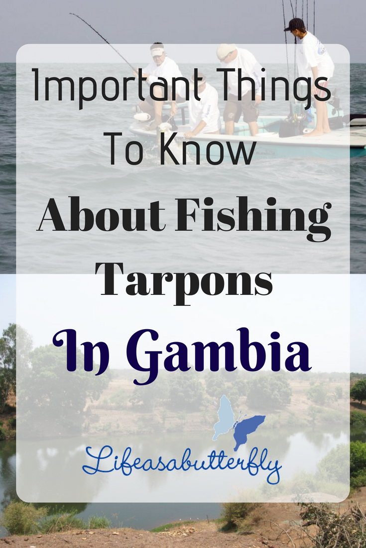 Important Things To Know About Fishing Tarpons In Gambia