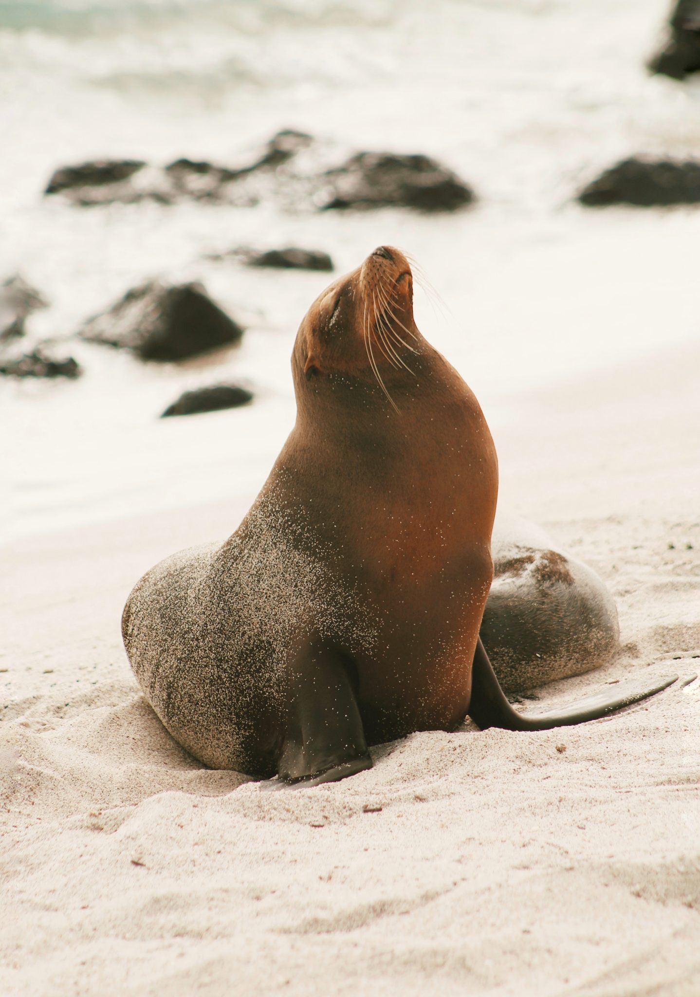 Galapagos Islands Weather